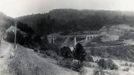 Az ukrán légió és szerepe a magyar határharcokban 1914—15-ben