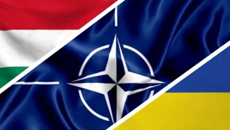 A NATO nem avatkozik be az ukrán-magyar vitába